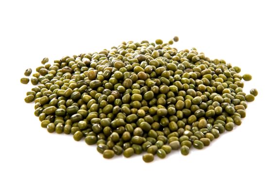 Mung beans wholesale